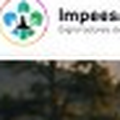 Impeesa 379